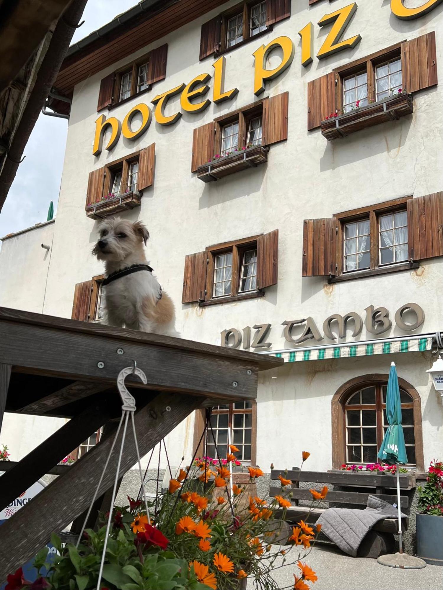 Hotel Piz Tambo Splugen Exterior photo