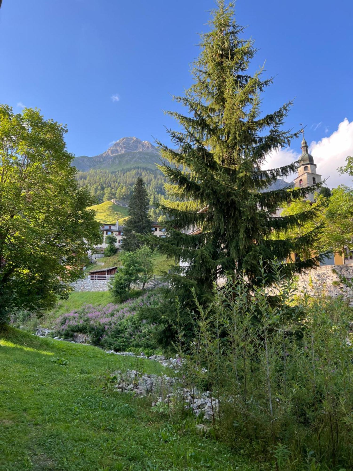 Hotel Piz Tambo Splugen Exterior photo